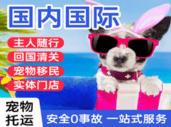 保山云瑞空运公司国际宠物托运 【国